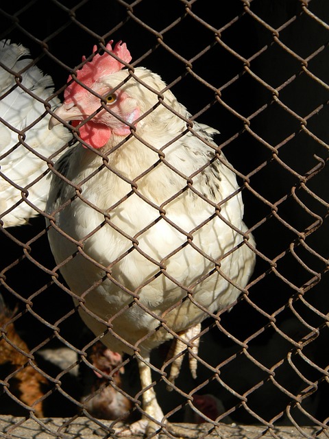下场对河南队！记者：申花在今天结束假期重新集中，备战比赛.